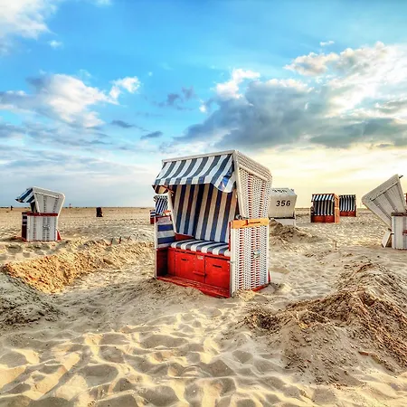 5 Sterne Luett Matten In Der Seefahrtsschule * Wustrow (Fischland)